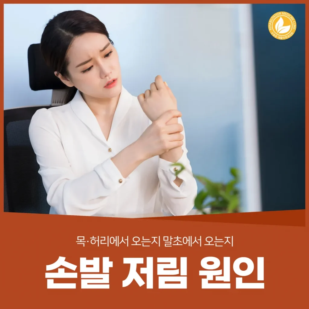 손발 저림 원인 — 목·허리에서 오는지 말초에서 오는지