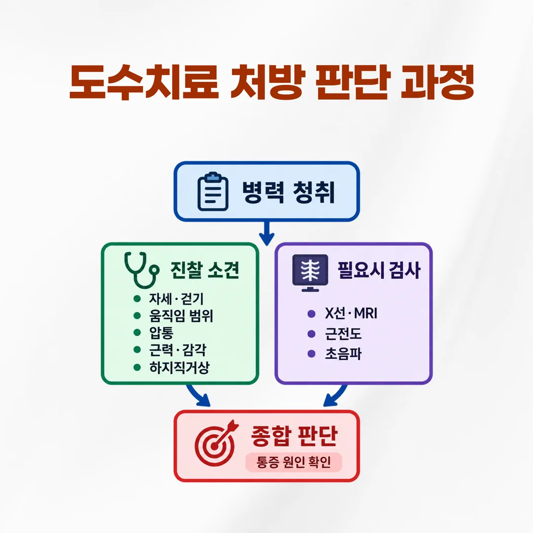 영상 검사 소견과 신체검진 소견을 종합해 통증 원인을 판단하는 도해