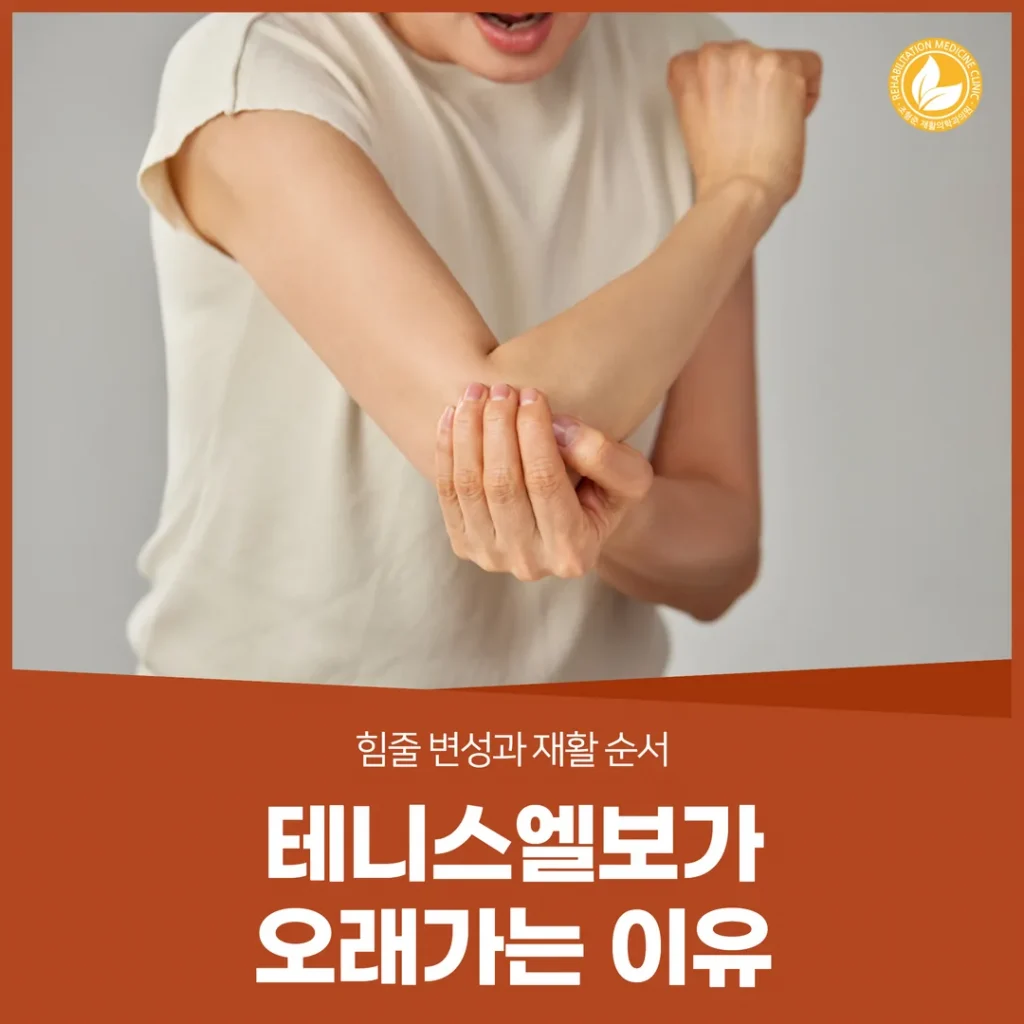 테니스엘보가 오래가는 이유 — 힘줄 변성과 재활 순서