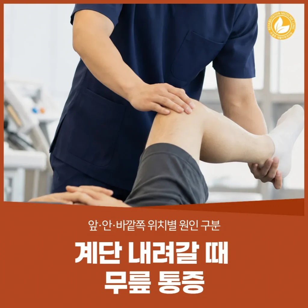 계단 내려갈 때 무릎 통증 — 앞·안·바깥쪽 위치별 원인 구분